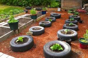 Tire gardening