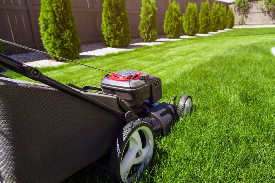 Basic Things To Consider For Proper Lawn Care - hopscotchnannyagency