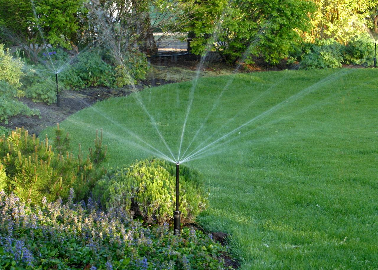 Finding the Right Irrigation System For Your Garden