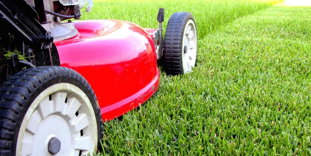 3 Benefits of Lawn Care