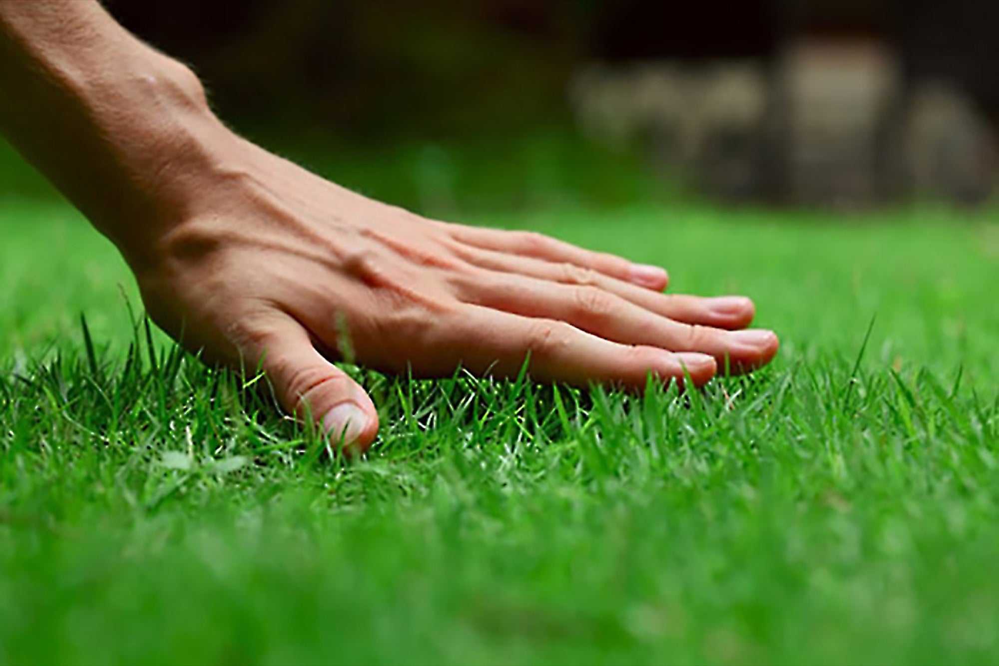 How To Choose Good Lawn Care Products