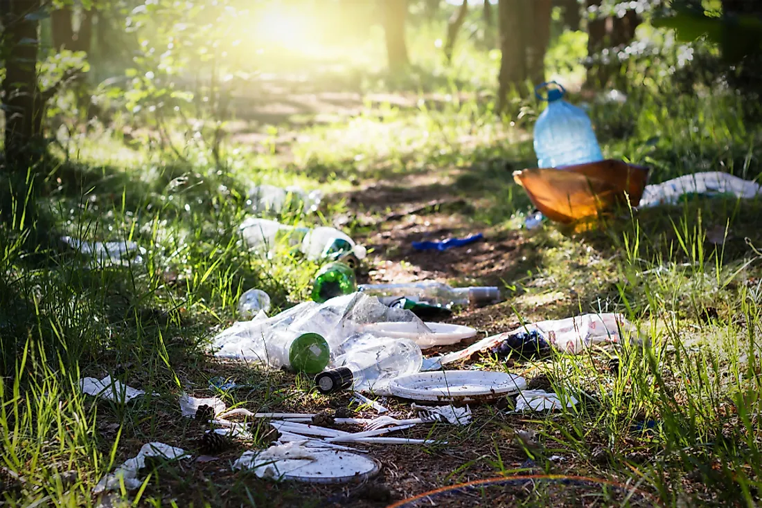 What Is The Impact Of Littering On The Environment?