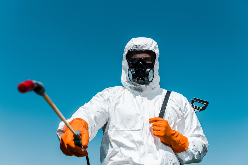 Why Hire a Professional Bed Bug Exterminator