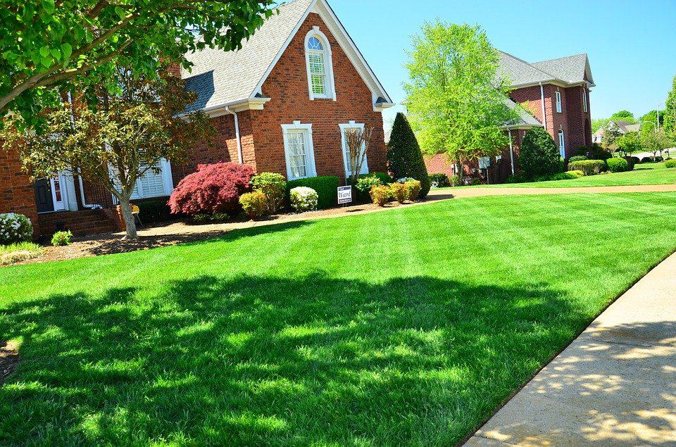5 Things You Should Look for in a Lawn Care Company